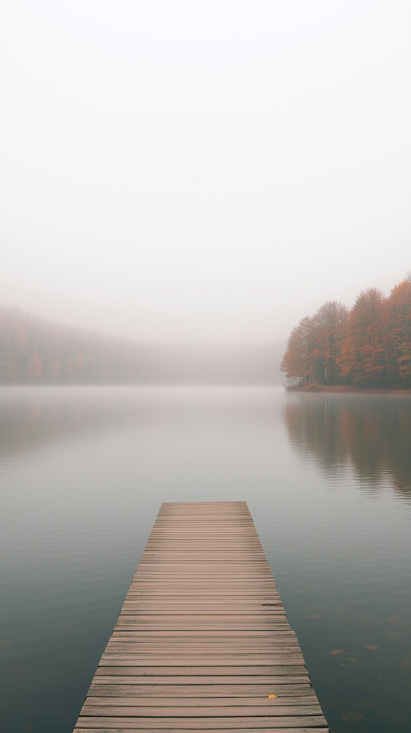 A timber jetty reaching into the still, misty reservoir